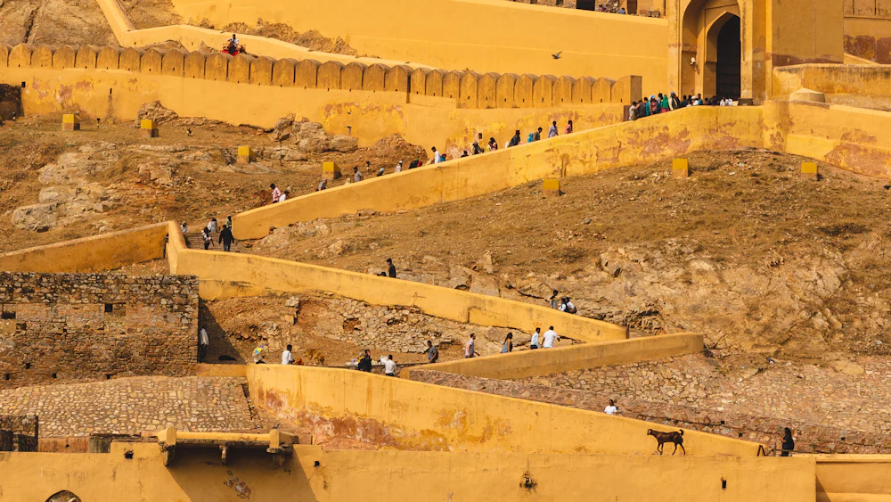 Amber Fort rising above Maota Lake at Amer, near Jaipur in Rajasthan